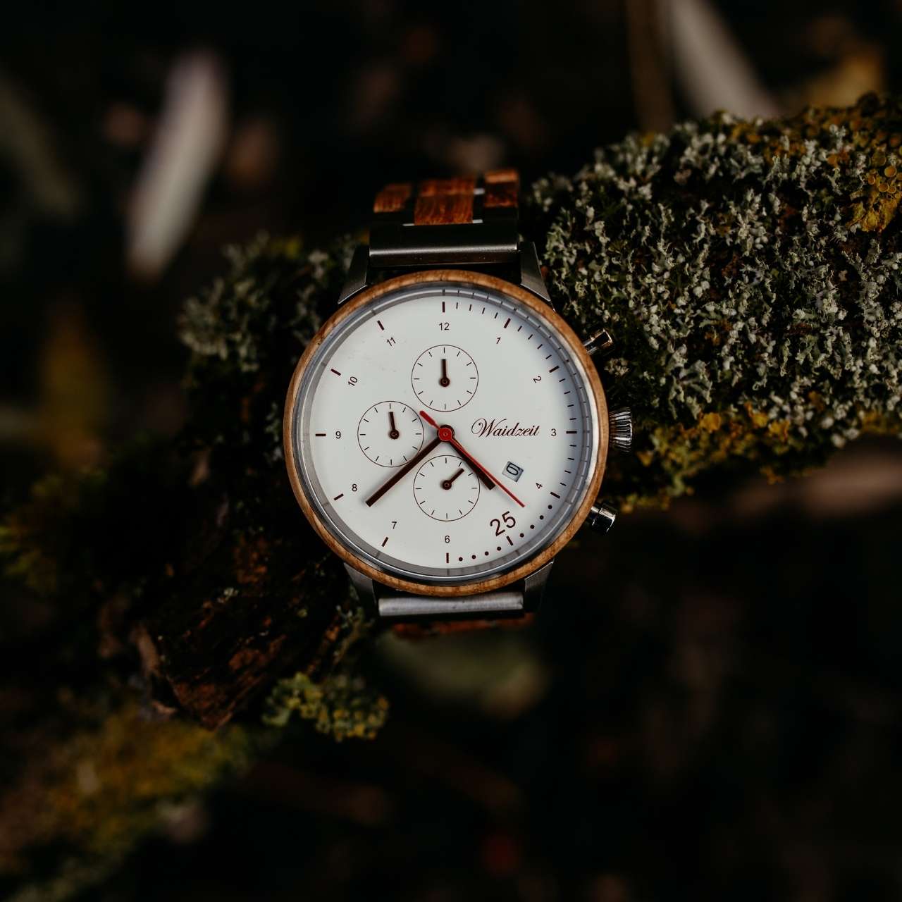 Drevené hodinky Waidzeit Barista Bianco v prírode – kombinácia dreva vínnych sudov, bronzových detailov a bieleho ciferníka v harmónii s prírodným prostredím